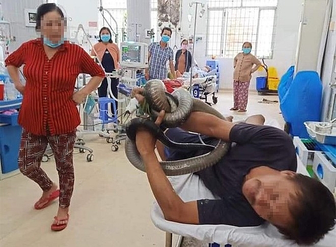 Vietnamese man rushes to hospital with his hand stuck by a 3-meter-long king cobra 1810 cobra